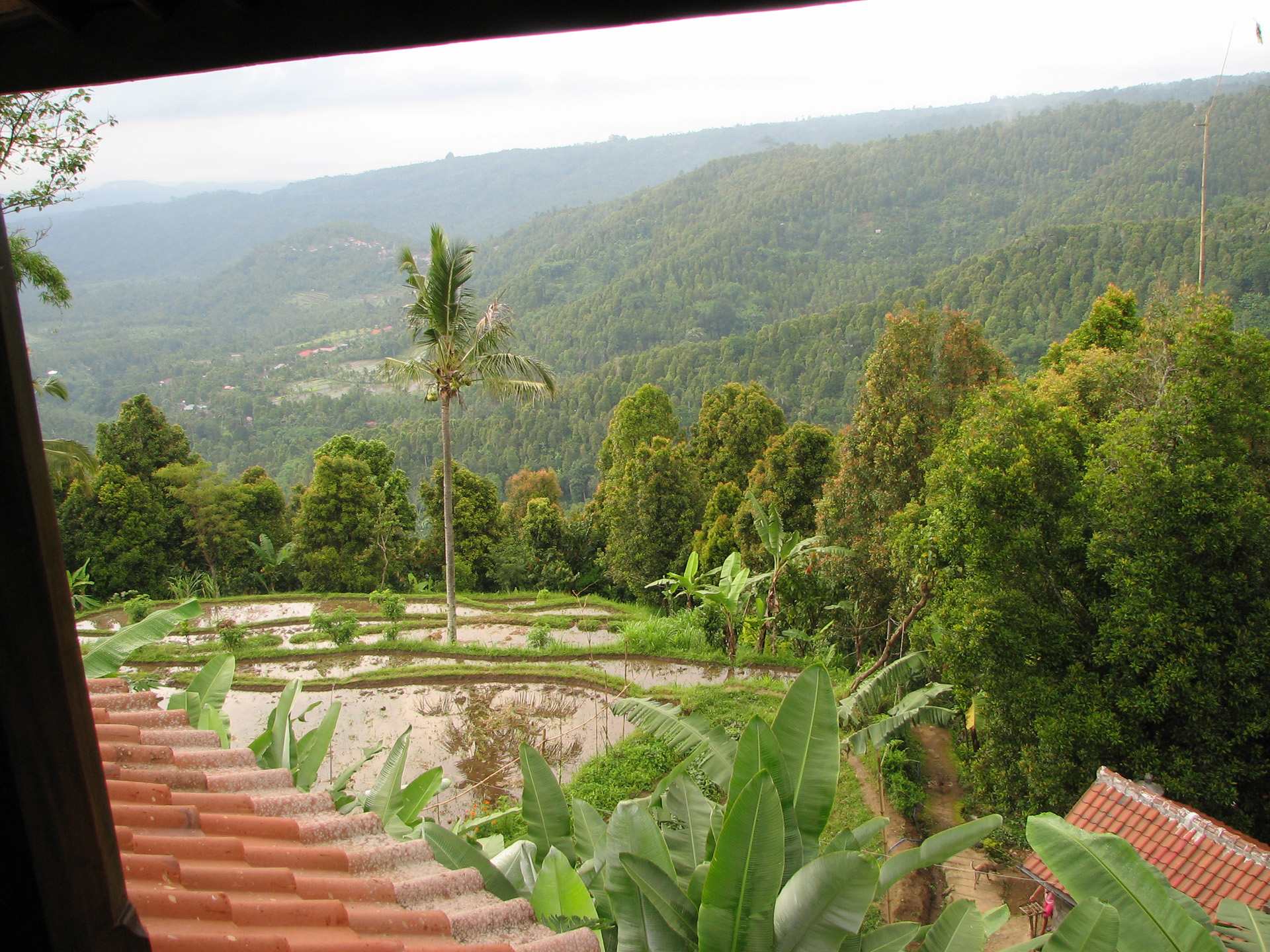 Pemandangan Desa Munduk Bali
